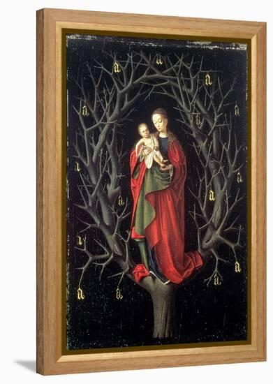 Our Lady of the Dry Tree C.1450-Petrus Christus-Framed Premier Image Canvas