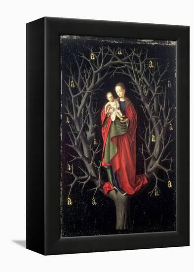 Our Lady of the Dry Tree C.1450-Petrus Christus-Framed Premier Image Canvas