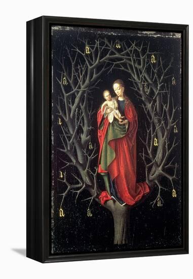 Our Lady of the Dry Tree C.1450-Petrus Christus-Framed Premier Image Canvas