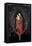 Our Lady of the Dry Tree C.1450-Petrus Christus-Framed Premier Image Canvas