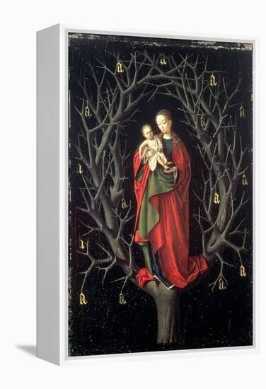 Our Lady of the Dry Tree C.1450-Petrus Christus-Framed Premier Image Canvas