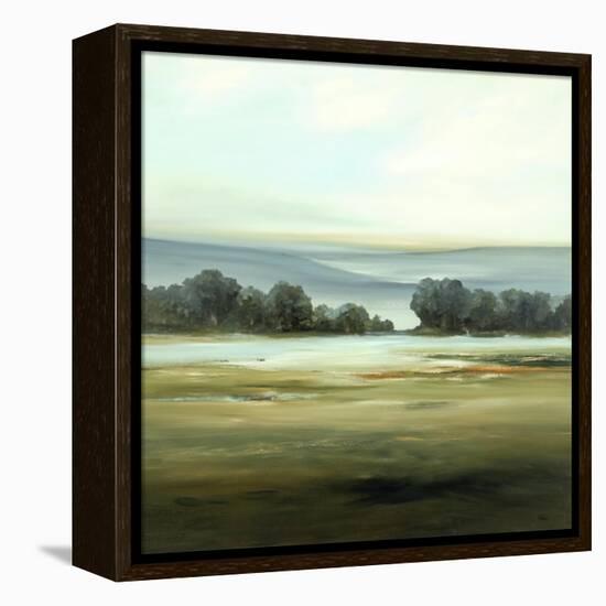 Our Land-Lisa Ridgers-Framed Stretched Canvas