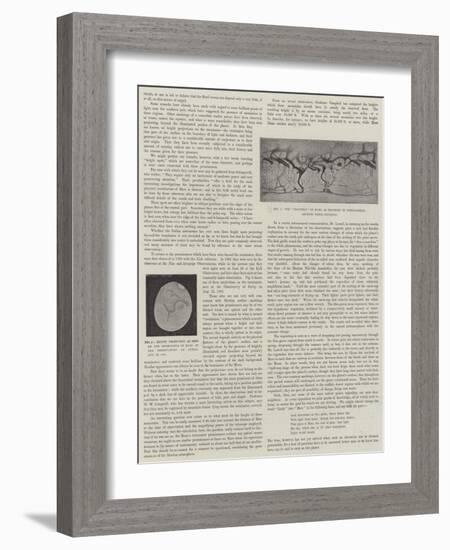 Our Near Neighbour, Mars-null-Framed Giclee Print