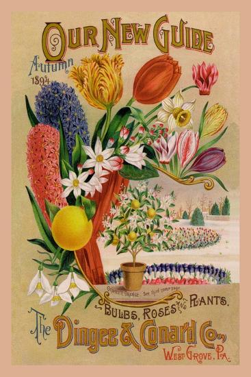 Art Print, , large