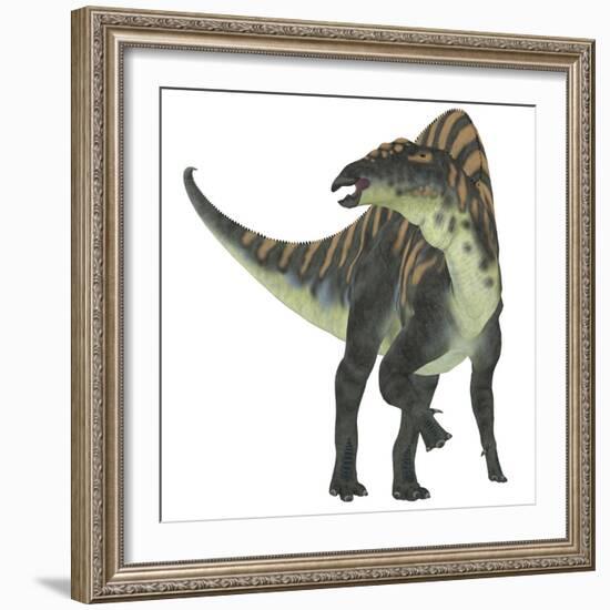 Ouranosaurus Dinosaur, White Background-Stocktrek Images-Framed Art Print