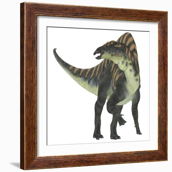 Ouranosaurus Dinosaur, White Background-Stocktrek Images-Framed Art Print