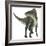 Ouranosaurus Dinosaur, White Background-Stocktrek Images-Framed Art Print