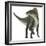 Ouranosaurus Dinosaur, White Background-Stocktrek Images-Framed Art Print