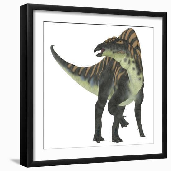 Ouranosaurus Dinosaur, White Background-Stocktrek Images-Framed Art Print