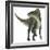 Ouranosaurus Dinosaur, White Background-Stocktrek Images-Framed Art Print