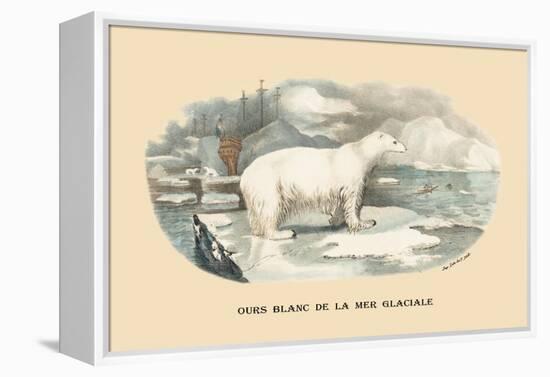 Ours Blanc de la Mer Glaciale-E.f. Noel-Framed Stretched Canvas