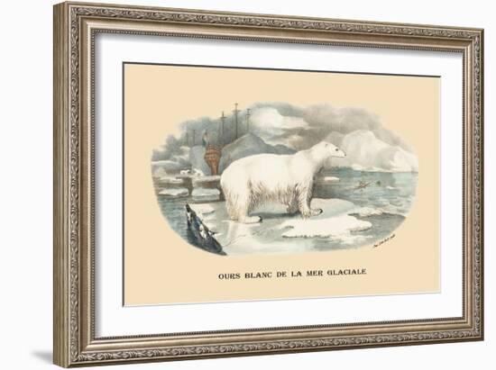 Ours Blanc de la Mer Glaciale-E.f. Noel-Framed Art Print