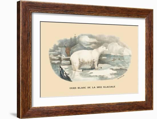 Ours Blanc de la Mer Glaciale-E.f. Noel-Framed Art Print