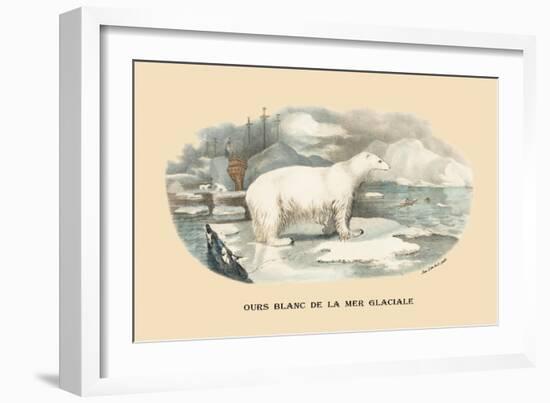 Ours Blanc de la Mer Glaciale-E.f. Noel-Framed Art Print