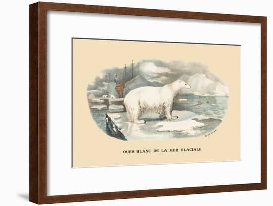 Ours Blanc de la Mer Glaciale-E.f. Noel-Framed Art Print