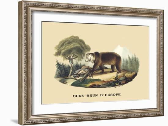 Ours Brun d'Europe-E.f. Noel-Framed Art Print