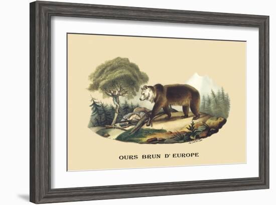 Ours Brun d'Europe-E.f. Noel-Framed Art Print