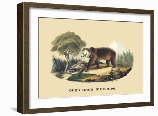 Ours Brun d'Europe-E.f. Noel-Framed Art Print