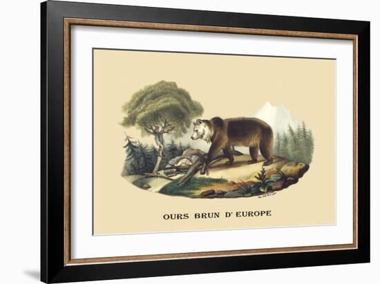 Ours Brun d'Europe-E.f. Noel-Framed Art Print