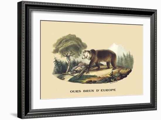 Ours Brun d'Europe-E.f. Noel-Framed Art Print