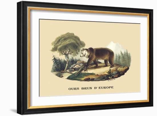 Ours Brun d'Europe-E.f. Noel-Framed Art Print