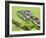 Oustalet's Chameleon Portrait, Madagascar-Edwin Giesbers-Framed Photographic Print