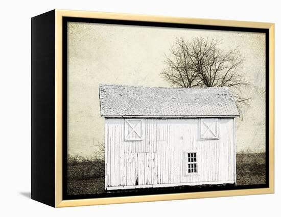 Out Field-Sheldon Lewis-Framed Stretched Canvas