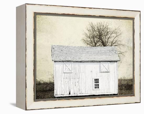 Out Field-Sheldon Lewis-Framed Stretched Canvas