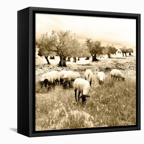 Out In The Fields-Ynon Mabat-Framed Stretched Canvas