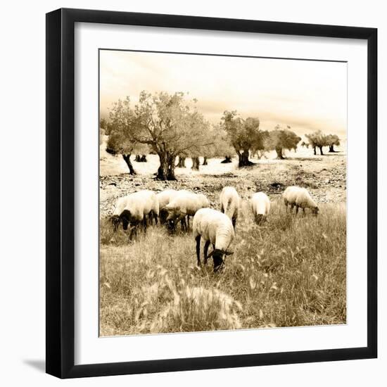 Out In The Fields-Ynon Mabat-Framed Art Print