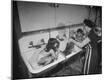 Photographic Print