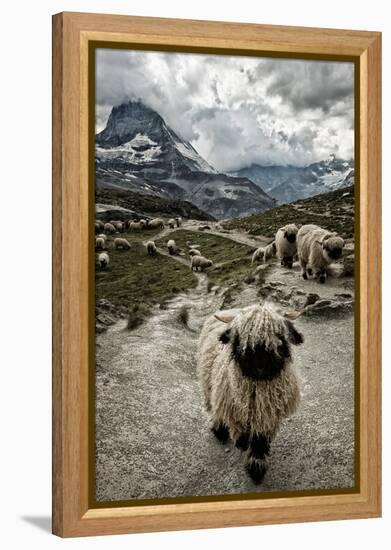 Out of My Way-Susanne La.-Framed Premier Image Canvas