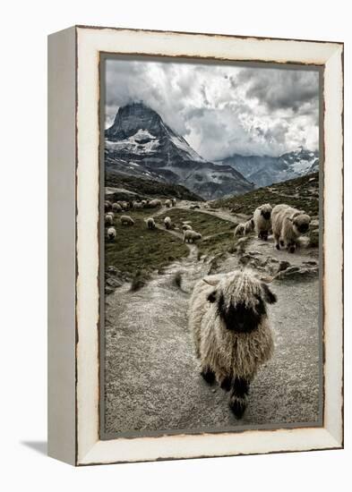 Out of My Way-Susanne La.-Framed Premier Image Canvas