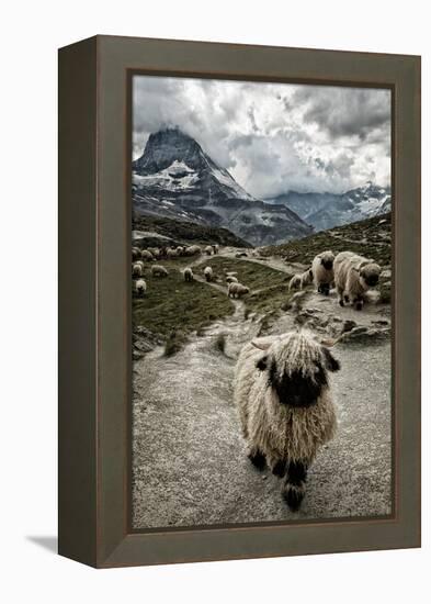 Out of My Way-Susanne La.-Framed Premier Image Canvas