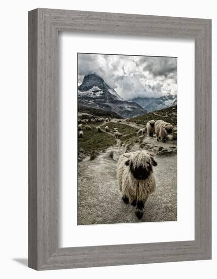 Out of My Way-Susanne La.-Framed Photographic Print