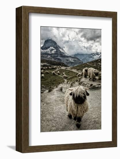 Out of My Way-Susanne La.-Framed Photographic Print
