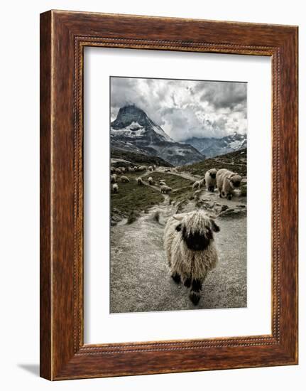 Out of My Way-Susanne La.-Framed Photographic Print