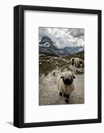 Out of My Way-Susanne La.-Framed Photographic Print