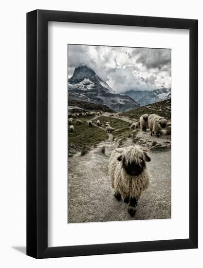 Out of My Way-Susanne La.-Framed Photographic Print