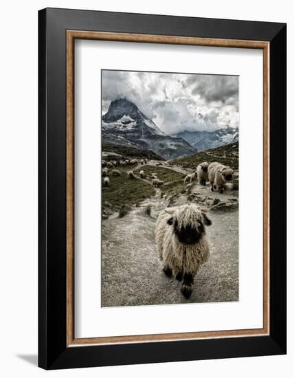 Out of My Way-Susanne La.-Framed Photographic Print