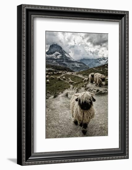 Out of My Way-Susanne La.-Framed Photographic Print