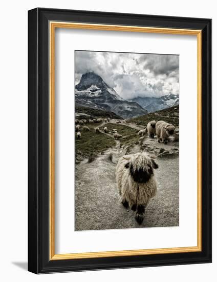 Out of My Way-Susanne La.-Framed Photographic Print