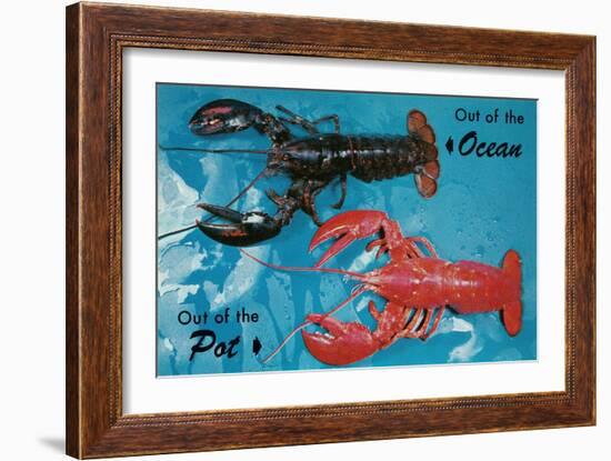 Out of Ocean, into Pot, Lobsters-null-Framed Art Print