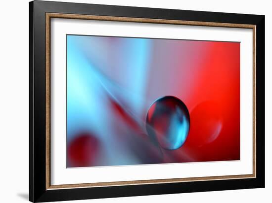 Out Of Shape-Heidi Westum-Framed Photographic Print