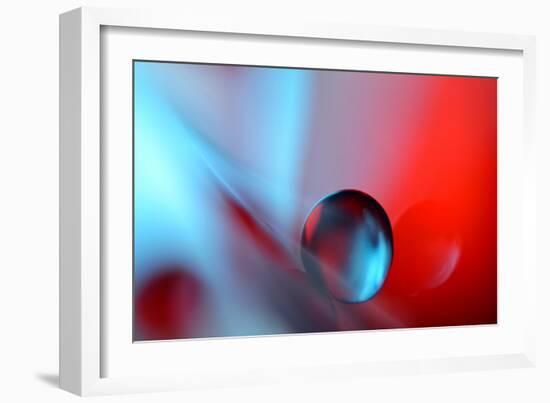 Out Of Shape-Heidi Westum-Framed Photographic Print