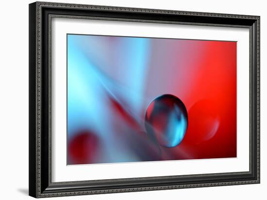 Out Of Shape-Heidi Westum-Framed Photographic Print