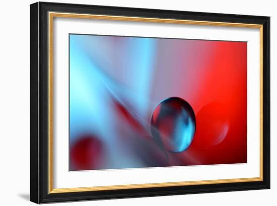 Out Of Shape-Heidi Westum-Framed Photographic Print