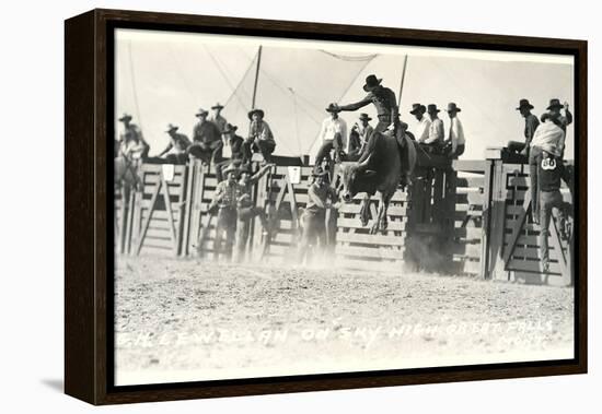 Out of the Chute, Bull Riding-null-Framed Stretched Canvas