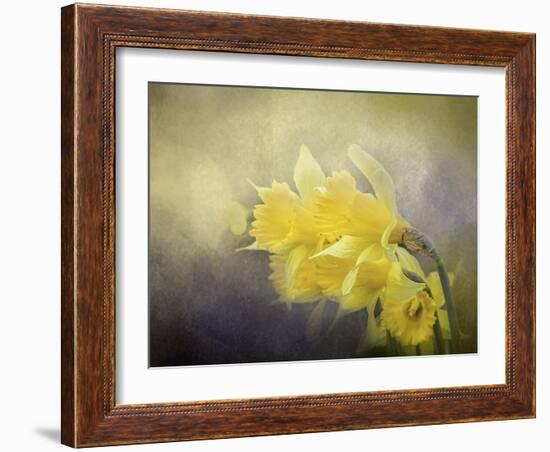 Out of the Darkness-Jai Johnson-Framed Giclee Print