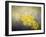 Out of the Darkness-Jai Johnson-Framed Giclee Print